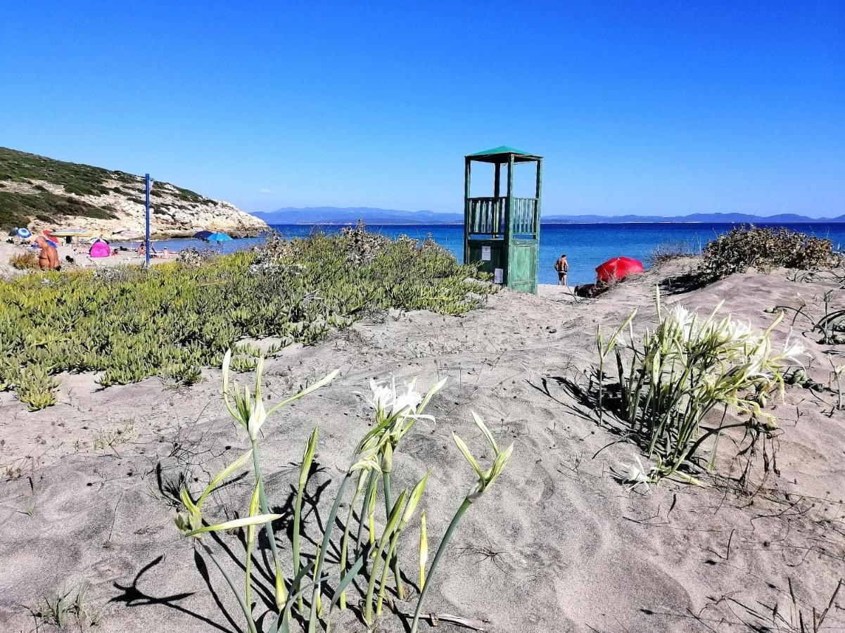 B&B Glamping Semaforo Capo Sperone SantʼAntìoco Eksteriør bilde