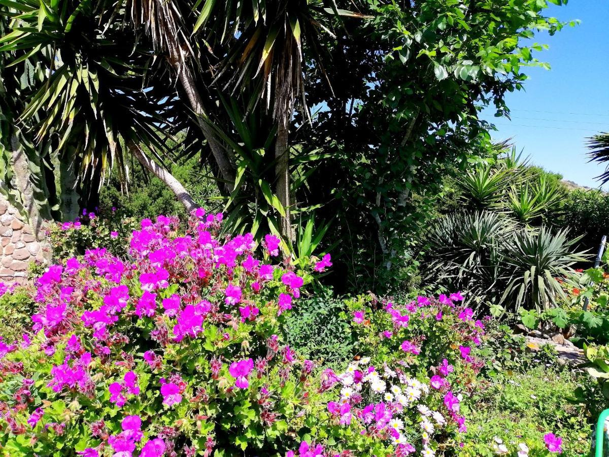 B&B Glamping Semaforo Capo Sperone SantʼAntìoco Eksteriør bilde